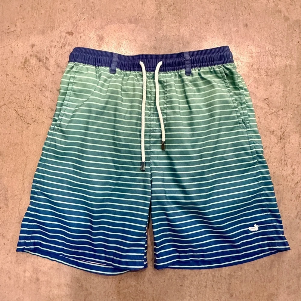 Southern Marsh Blue to Aqua Gradient Striped Swim Trunks Youth Large